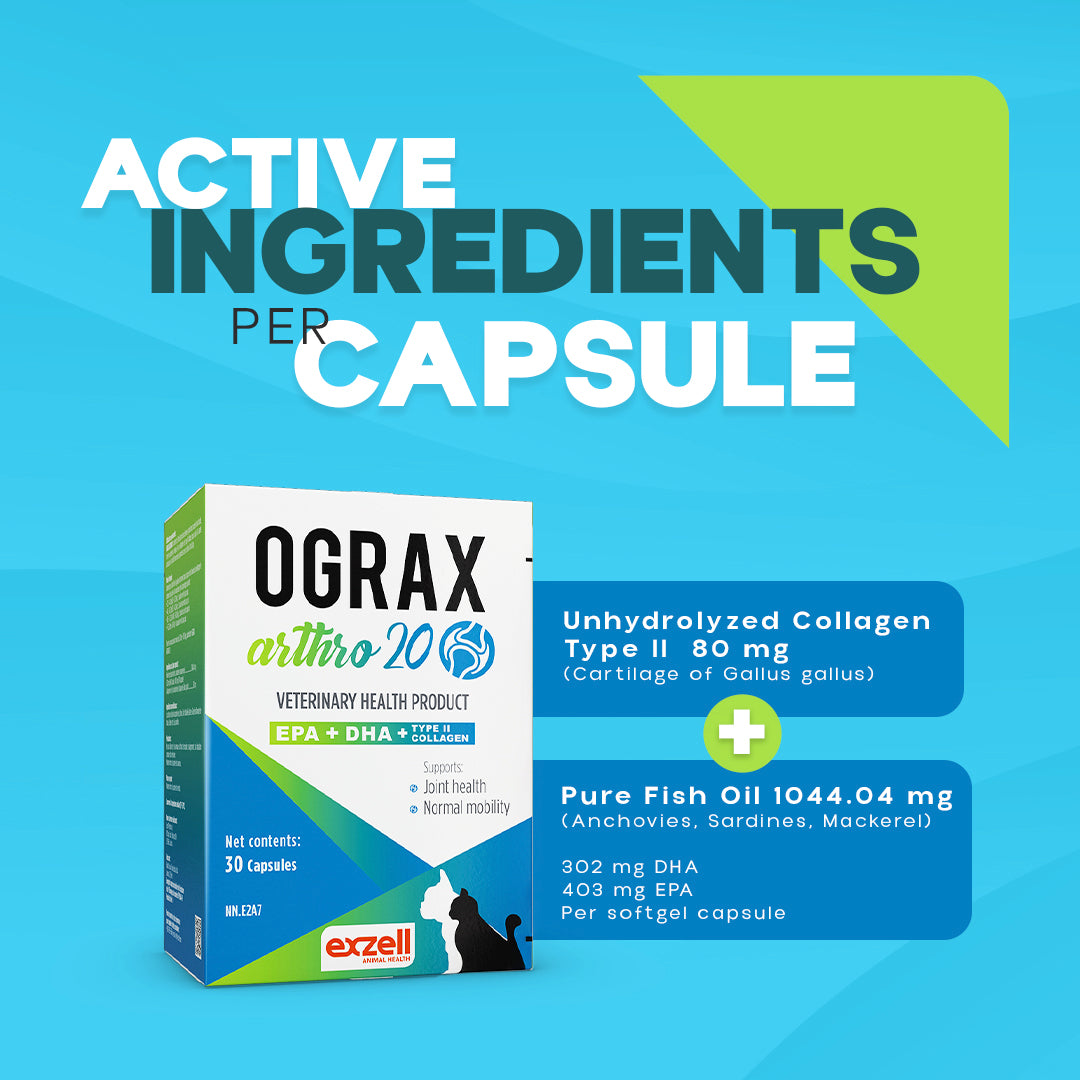 OGRAX™ Arthro 20 2