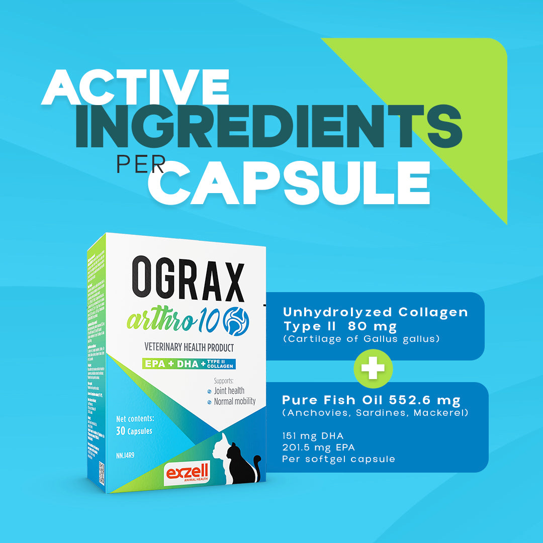 OGRAX™ Arthro 10 2