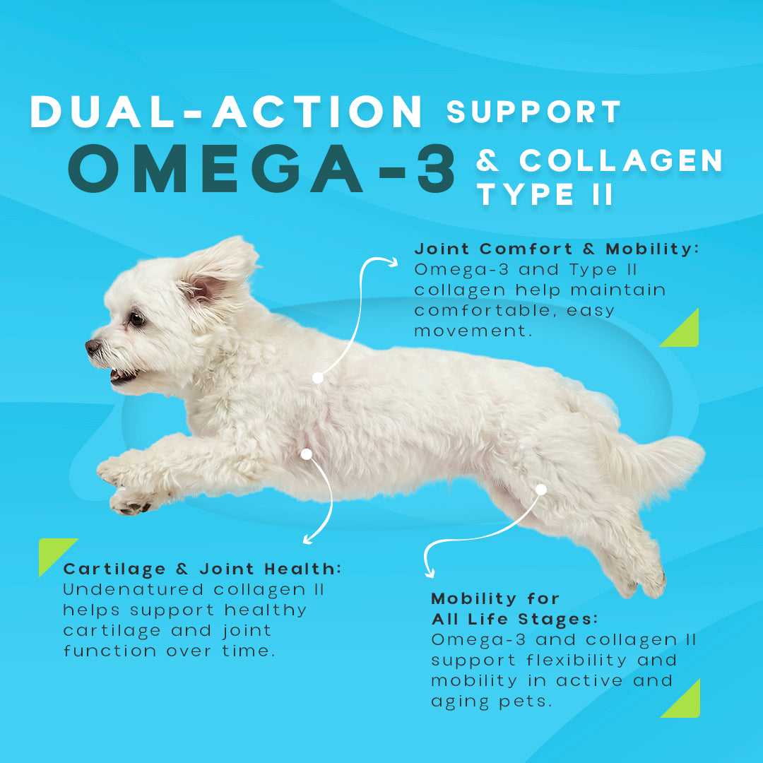 OGRAX™ Arthro 10 3