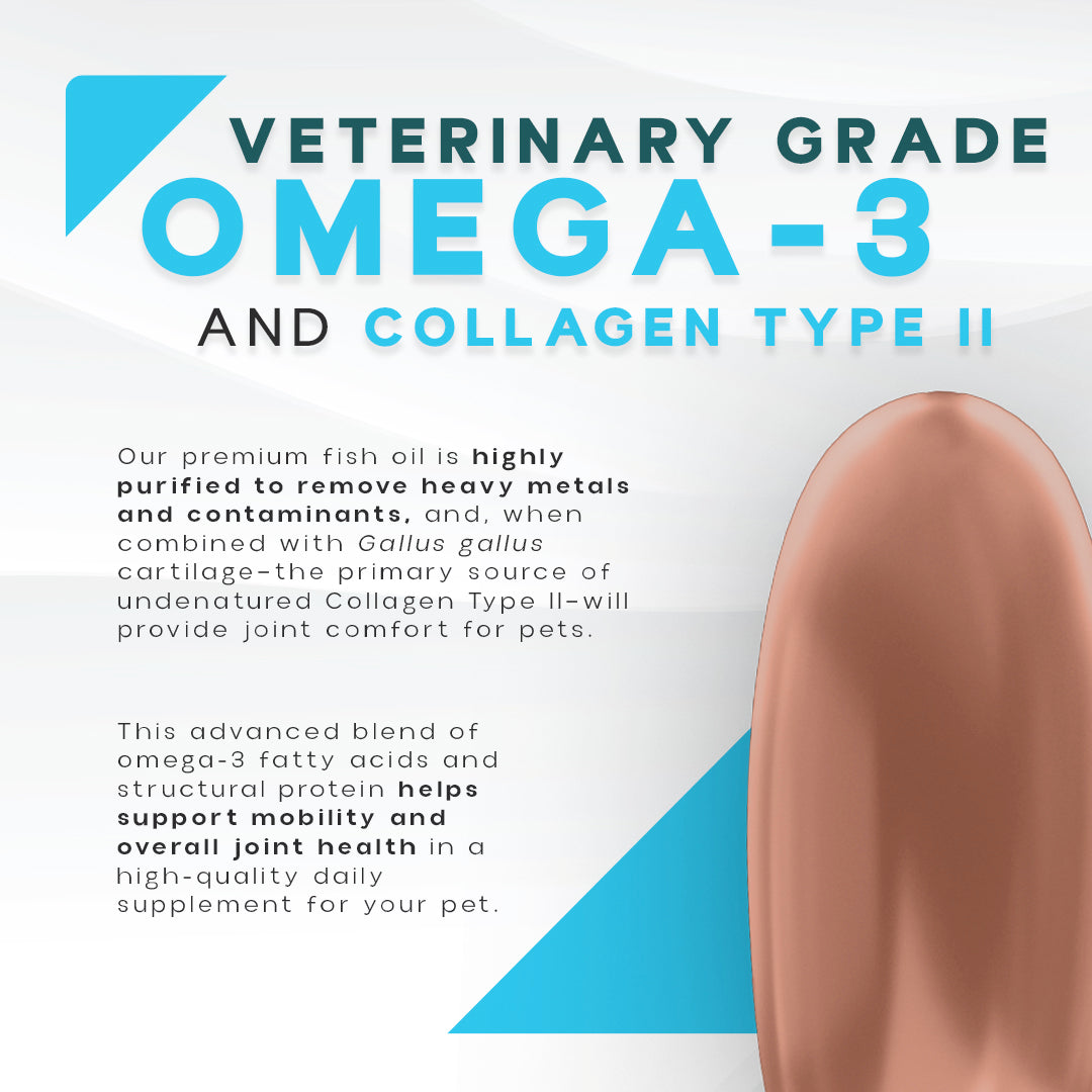 OGRAX™ Arthro 10 9