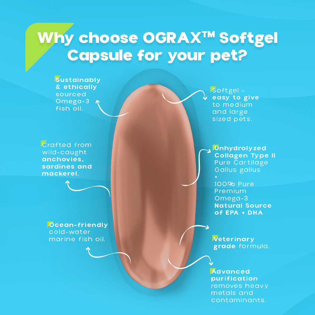 OGRAX™ Arthro 20 4