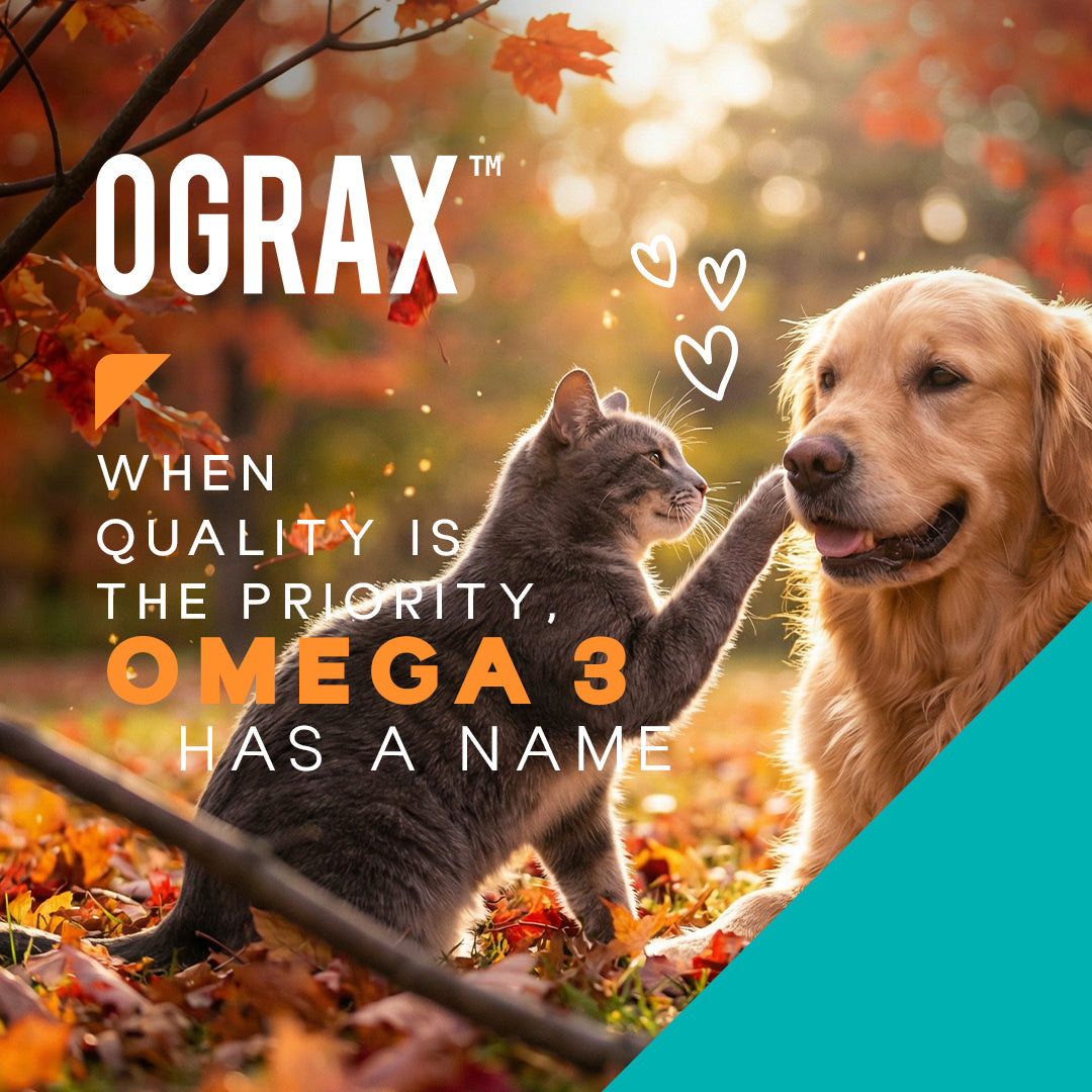 OGRAX™ Arthro 10 19