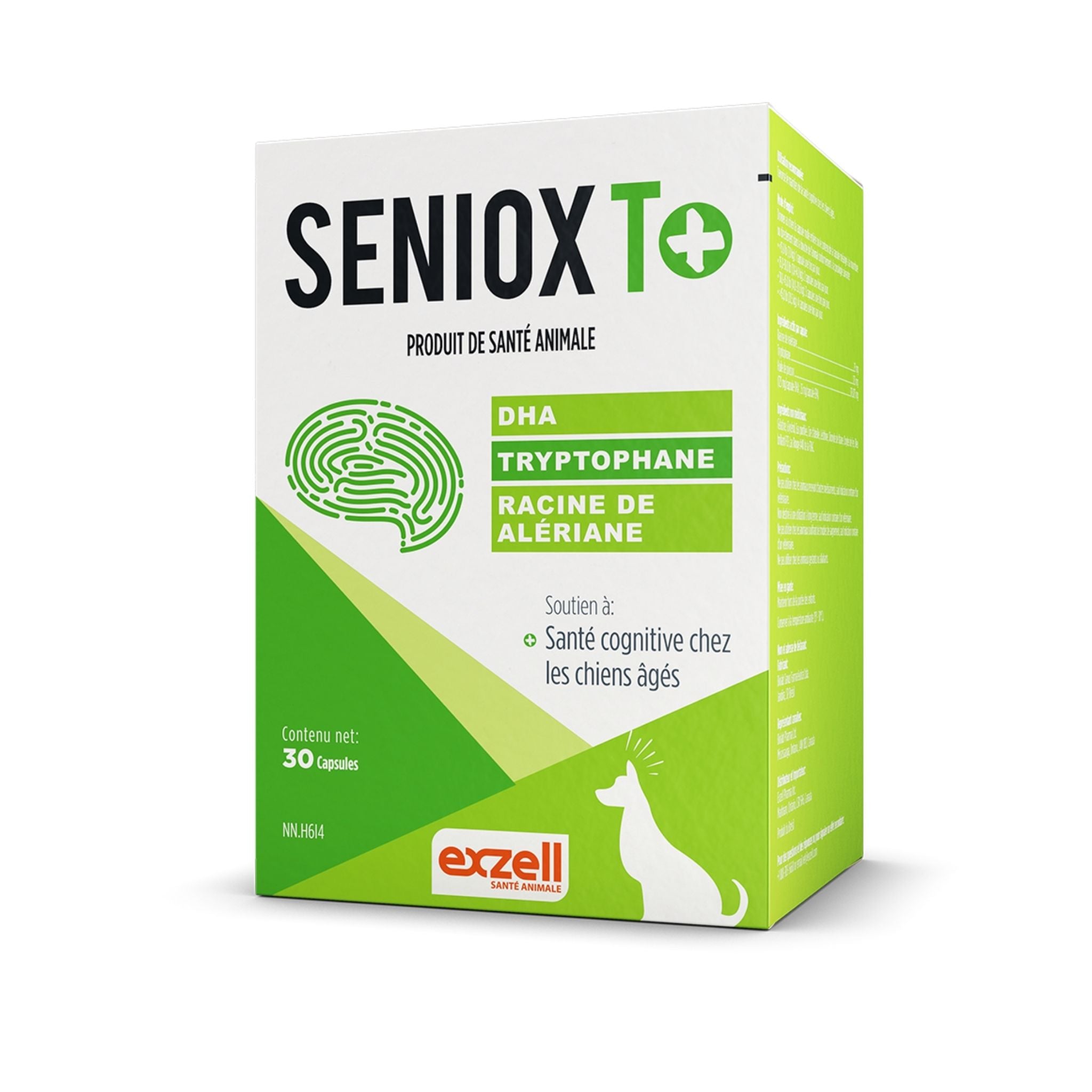 Seniox T+ 2