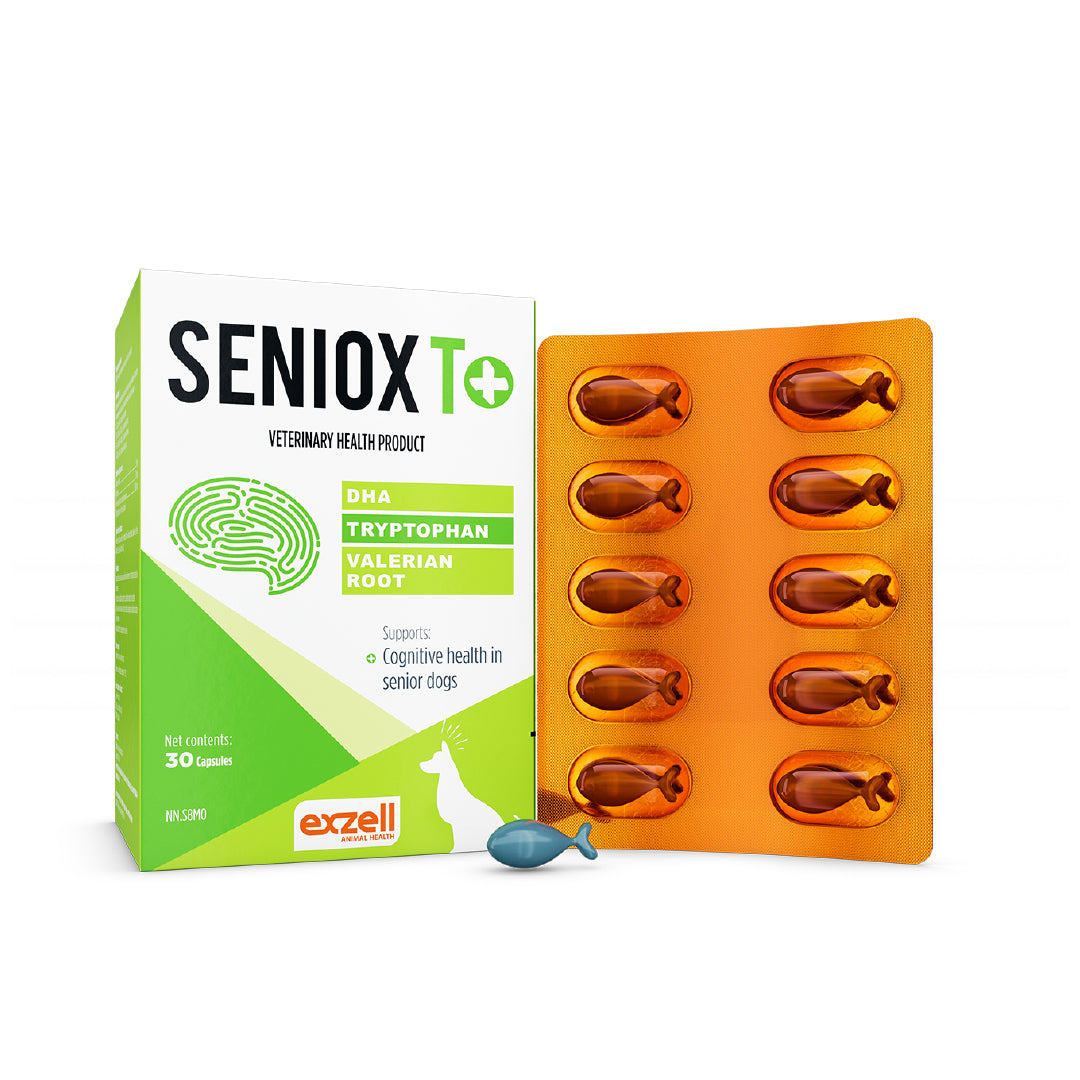 SENIOX T+ 1