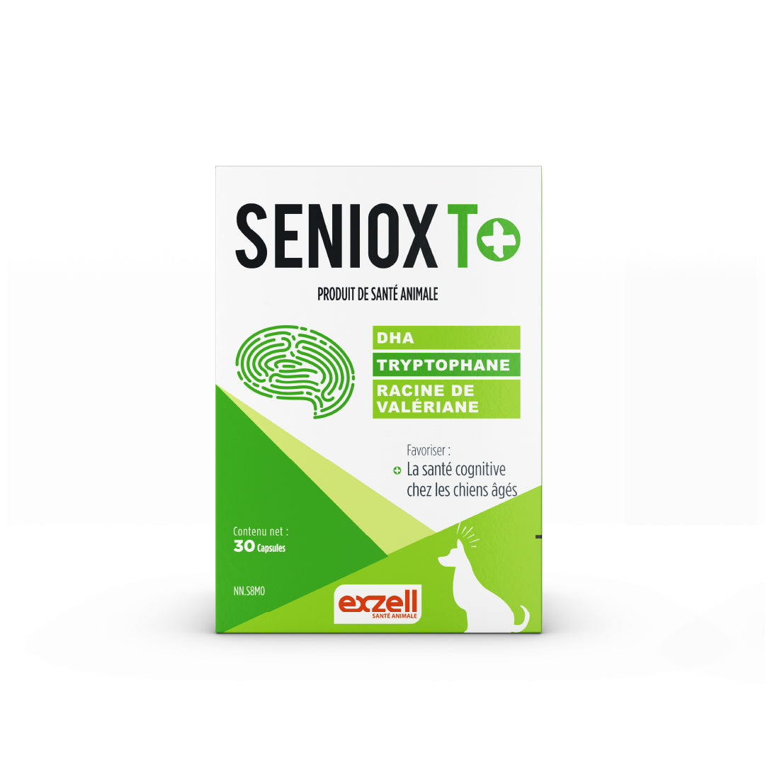 SENIOX T+ 13