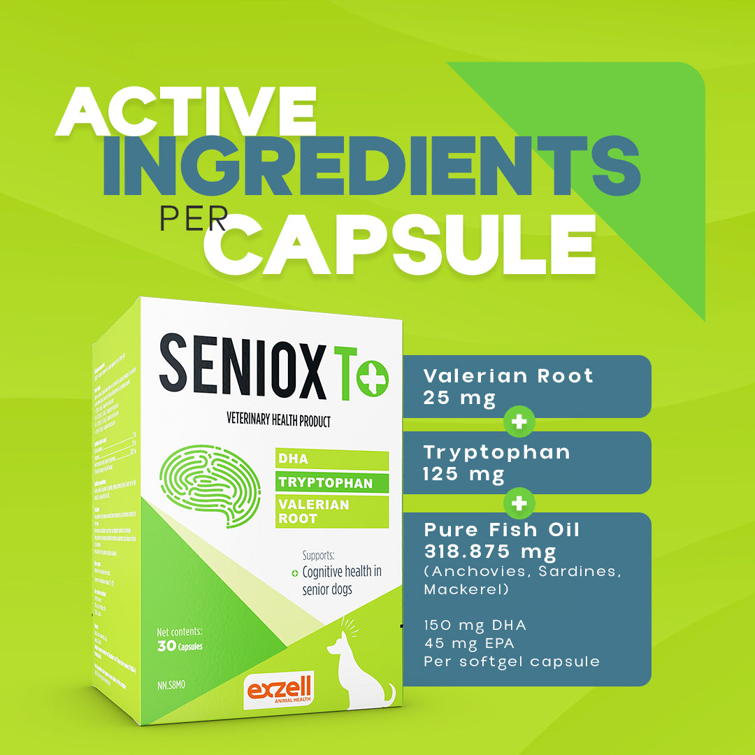 SENIOX T+ 2