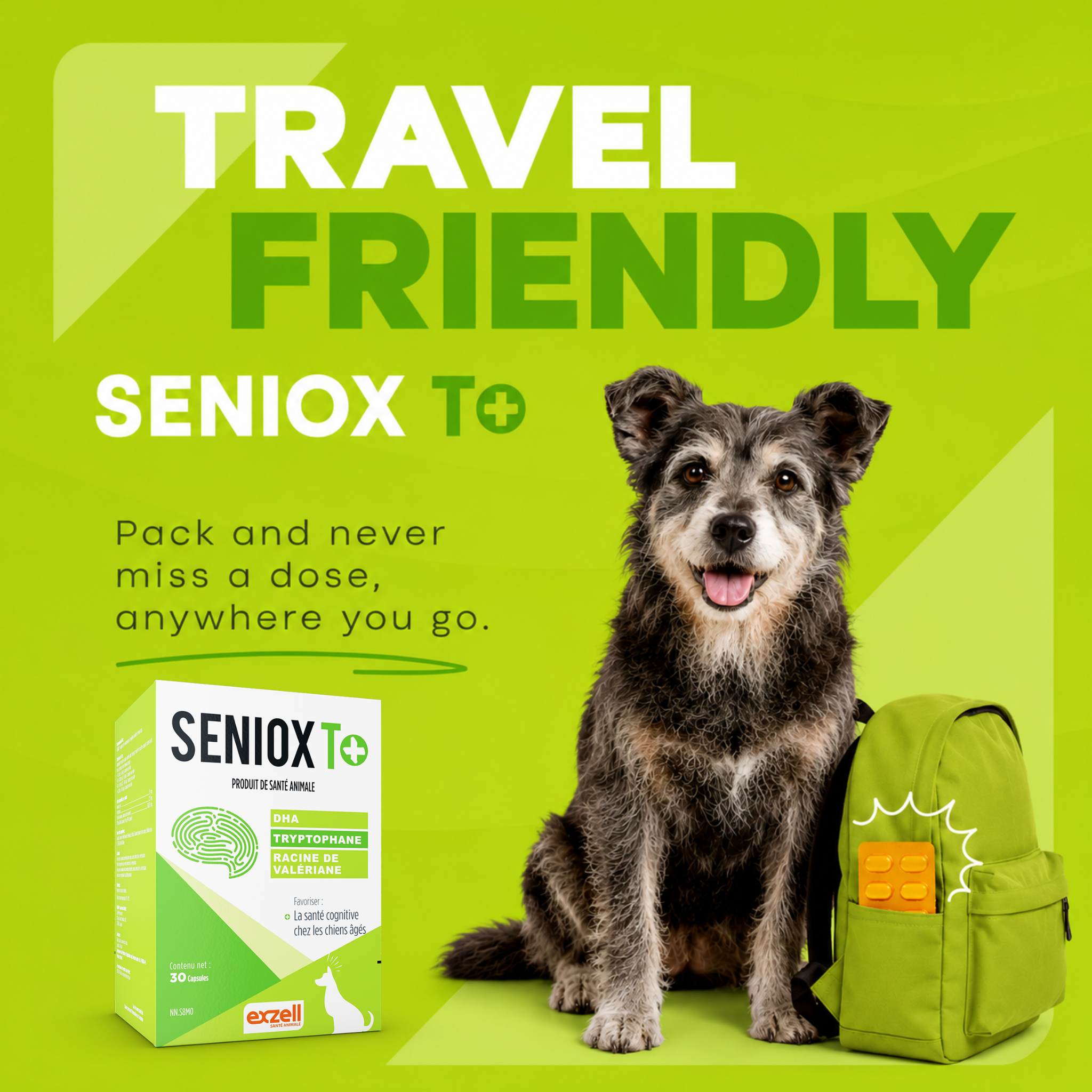 SENIOX T+ 9